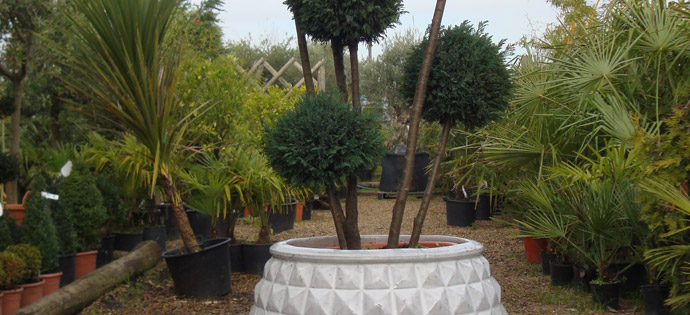 about London Scaping